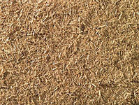 Infeed material: Wood chips